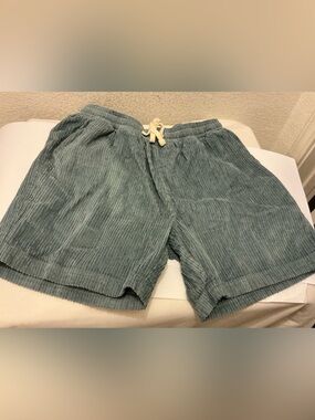 Absent Brand Corduroy Drawstring Shorts in Dusty Sage